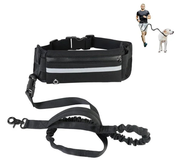 Hands Free Dog Leash for Running Walking